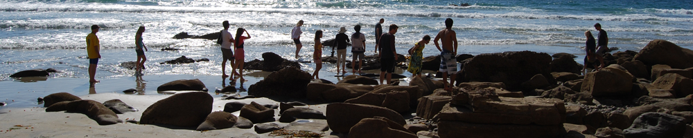 Tide pools 1000x200