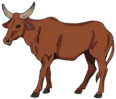 Illustration of a cow.